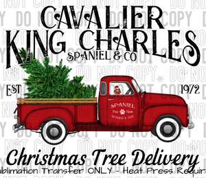 Cavalier Dog Tree Delivery Sublimation Transfer