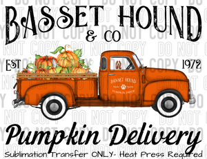 Basset Hound Dog Pumpkin Delivery Sublimation Transfer