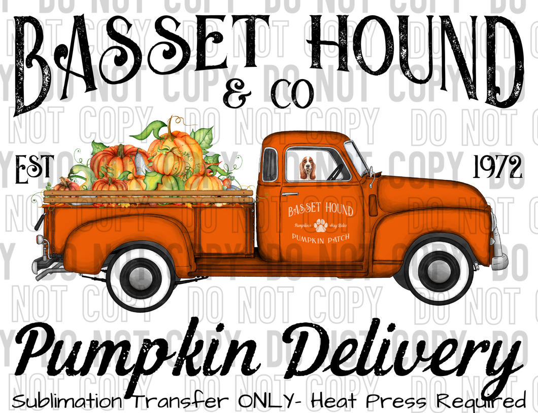 Basset Hound Dog Pumpkin Delivery Sublimation Transfer