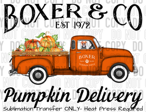 Boxer Dog Pumpkin Delivery Sublimation Transfer