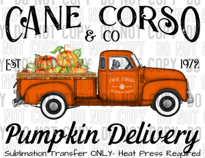 Cane Corso Dog Pumpkin Delivery Sublimation Transfer