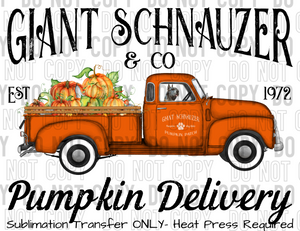 Giant Schnauzer Dog Pumpkin Delivery Sublimation Transfer