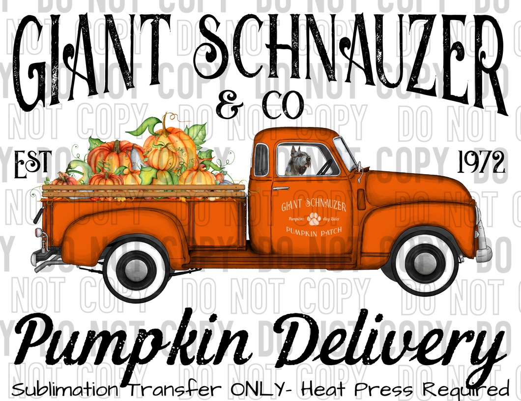Giant Schnauzer Dog Pumpkin Delivery Sublimation Transfer