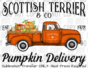 Scottish Terrier Dog Pumpkin Delivery Sublimation Transfer