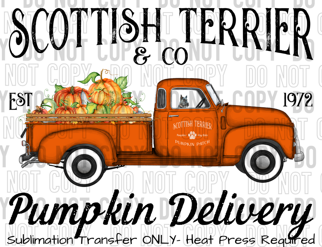 Scottish Terrier Dog Pumpkin Delivery Sublimation Transfer