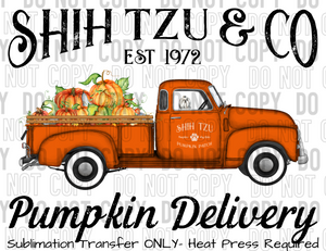 Shih Tzu Dog Pumpkin Delivery Sublimation Transfer