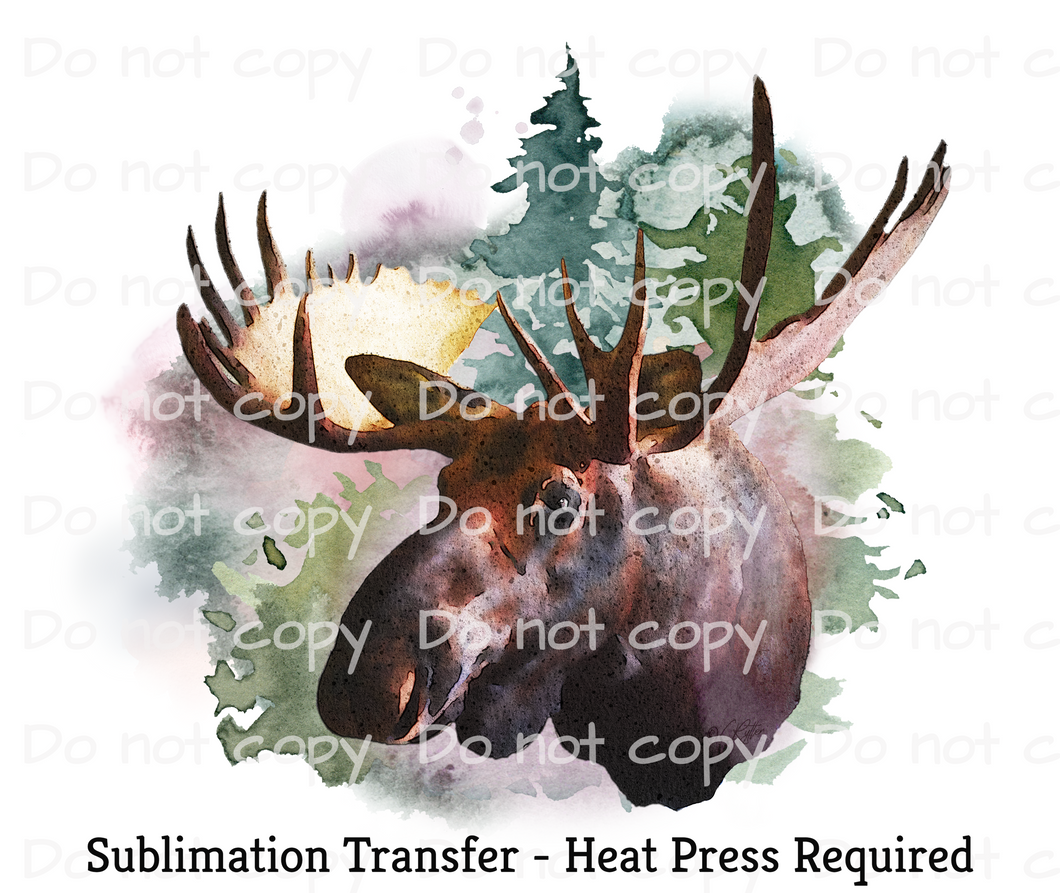 Moose watercolor Sublimation Transfer